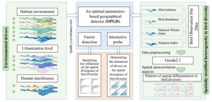 Attributing spatially stratified heterogeneity in biodiversity of urban–rural interlaced zones based on the OPGD model