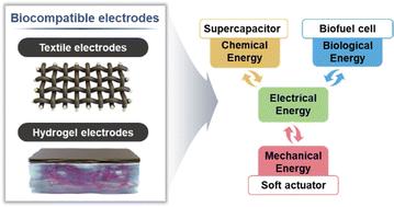 Unlocking high-efficiency energy storage and conversion with biocompatible electrodes: the key role of interfacial interaction assembly and structural design†