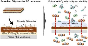 Scaling-up CO2-selective graphene oxide membranes via sequential coating with gelated graphene oxide and polyethyleneimine for CO2 separation†