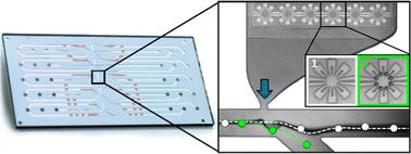 Durability of the bubble-jet sorter enables high performance bio sample isolation†