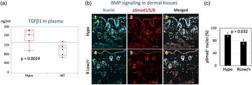 Non-cell-autonomous suppression of tumor growth by RECK in immunocompetent mice