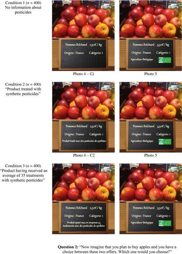 Influence of information on pesticide use during fruit and vegetable cultivation through labeling at the point of purchase: Insights from a French study