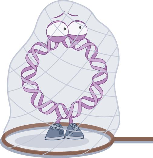 Targeting the spread of antimicrobial resistance plasmids