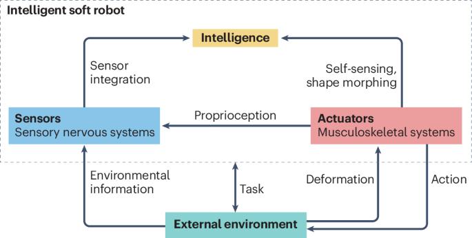 Bioinspired electronics for intelligent soft robots