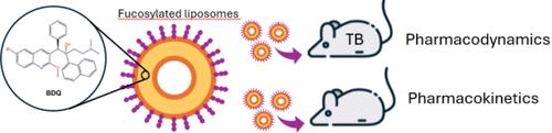 Intranasal Administration of Bedaquiline-Loaded Fucosylated Liposomes Provides Anti-Tubercular Activity while Reducing the Potential for Systemic Side Effects