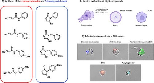 Synthesis and Biological Evaluation of Cyanoacrylamides and 5-Iminopyrrol-2-Ones Against Naegleria fowleri