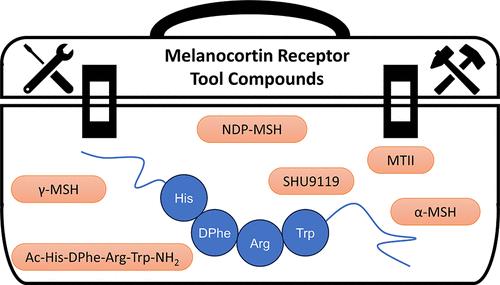 Recommended Tool Compounds for the Melanocortin Receptor (MCR) G Protein-Coupled Receptors (GPCRs)