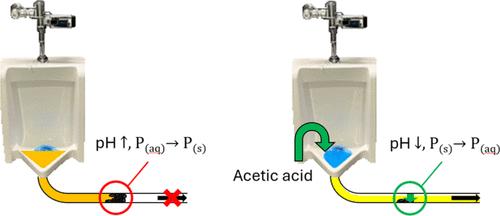 Acid Dosing Increases Recoverable Phosphorus during Different Occupancy Conditions in Full-Scale Urine Diversion System