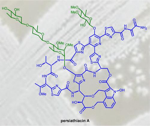 Discovery and Biosynthesis of Persiathiacins: Unusual Polyglycosylated Thiopeptides Active Against Multidrug Resistant Tuberculosis