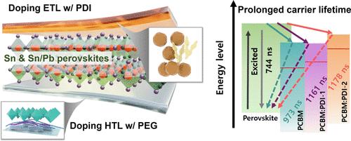 Interlayer Molecular Doping to Enhance Efficiency in Tin Perovskite Solar Cells