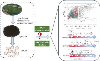 Hydrothermal temperature-dependent compositions and copper complexing behaviors of hydrochar-derived dissolved organic matter: Insights from FT-ICR MS and multi-spectroscopic analysis