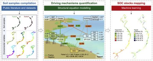 Hydrology, vegetation, and soil properties as key drivers of soil organic carbon in coastal wetlands: A high-resolution study