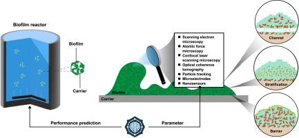 Mass transfer in heterogeneous biofilms: Key issues in biofilm reactors and AI-driven performance prediction