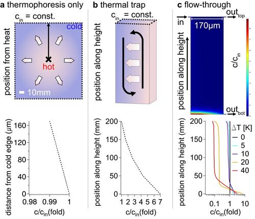 Heat-Flow-Driven Nonequilibria for Prebiotic Chemistry