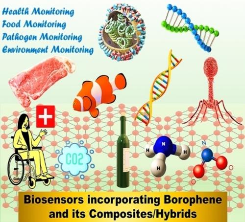 Pioneering Sensing Technologies Using Borophene-Based Composite/Hybrid Electrochemical Biosensors for Health Monitoring: A Perspective