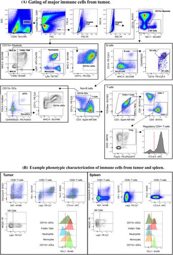 OMIP-105: A 30-color full-spectrum flow cytometry panel to characterize the immune cell landscape in spleen and tumor within a syngeneic MC-38 murine colon carcinoma model