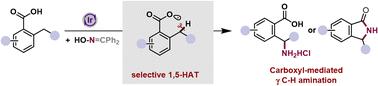 Radical cascade synthesis of γ-amino acids or γ-lactams via carboxyl-mediated intramolecular C–H amination†