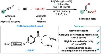 Recyclable picolinamide-derived ligand-controlled branched-selective hydroesterification of alkynes with alcohols and phenols†
