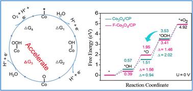 Trace F-doped Co3O4 nanoneedles for enhanced acidic water oxidation activity via promoting OH coverage†