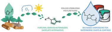 Waterborne polymers and coatings from bio-based butenolides†