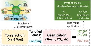 Progress in torrefaction pretreatment for biomass gasification
