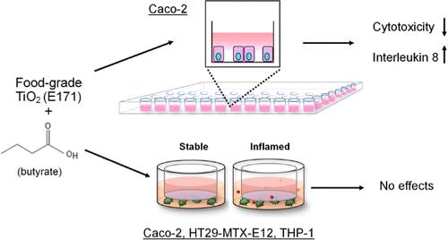 Effect of Butyrate on Food-Grade Titanium Dioxide Toxicity in Different Intestinal In Vitro Models