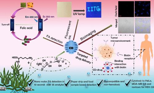 Amine-Rich Carbon Dots Synthesized from Kappa-Carrageenan and l-Lysine as a Dual Probe for Detection of Folic Acid and Tumor-Targeted Delivery of Therapeutics