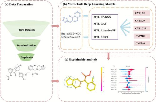 Prediction of Cytochrome P450 Substrates Using the Explainable Multitask Deep Learning Models