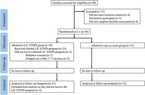 Feasibility and acceptability of a caregiver-mediated early support program, delivered online, for infants at elevated familial likelihood for autism: A feasibility randomized controlled trial