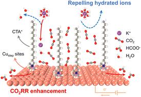 Stepped copper sites coupling voltage-induced surfactant assembly to achieve efficient CO2 electroreduction to formate†