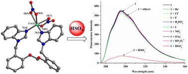 Six cobalt(ii), zinc(ii), nickel(ii) and copper(ii) complexes based on bis-benzimidazolyl bidentate ligands with phenolyl ether linkers: synthesis, structural studies and recognition of HSO4−†
