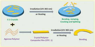 Synthesis and characterization of a dual-stimuli-responsive cobalt(iii) complex: comparison of photo-/thermo-mechanical behaviour in crystal and polymer composites†