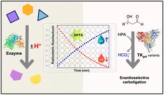 Fluorescence-based pH-shift assay with wide application scope for high-throughput determination of enzymatic activity in enzyme mining and engineering†‡