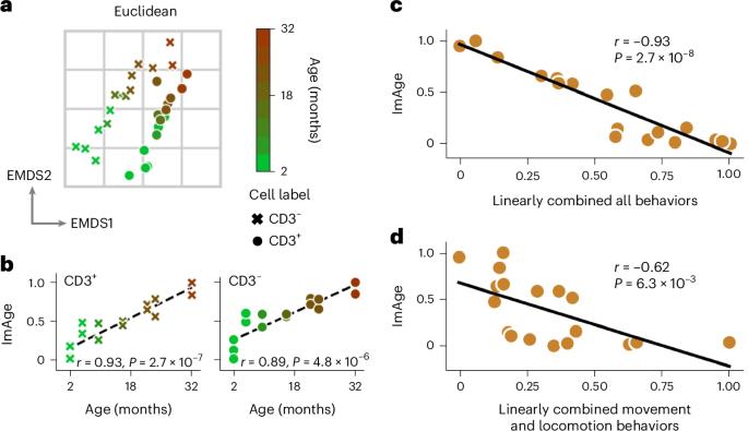 Imaging the epigenetic landscape in single cells to study aging trajectories