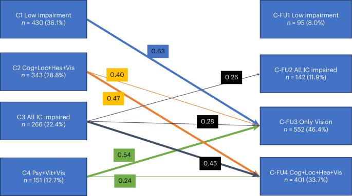 Real-life intrinsic capacity screening data from the ICOPE-Care program