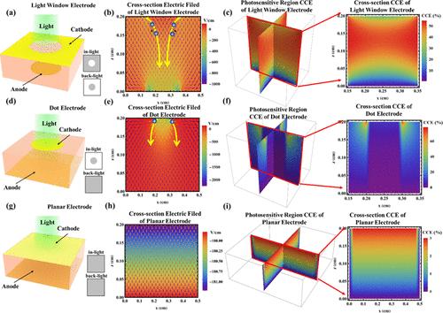 Spatial Electrode Modulation Strategy for the Perovskite Single Crystal Photodetector
