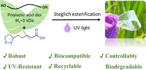 UV-Mediated Facile Fabrication of a Robust, Fully Renewable and Controllably Biodegradable Poly(lactic acid)-Based Covalent Adaptable Network
