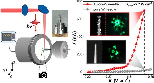 Nano-Cold-Cathode Electron Source Based on Plasmon-Mediated Emission