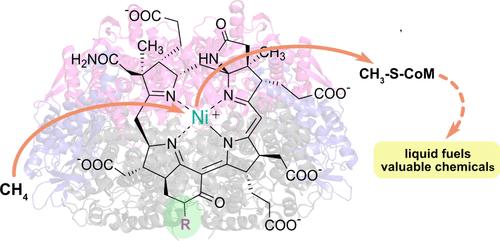 Toward the Use of Methyl-Coenzyme M Reductase for Methane Bioconversion Applications
