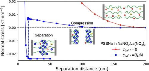 Ion Correlation-Driven Hysteretic Adhesion and Repulsion between Opposing Polyelectrolyte Brushes