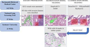 LVI-PathNet: Segmentation-classification pipeline for detection of lymphovascular invasion in whole slide images of lung adenocarcinoma