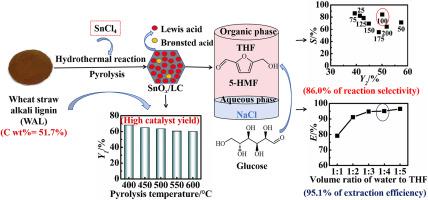 Cost-effective bifunctional lignin-derived carbon supported tin oxide with efficient production of 5-hydroxymethylfurfural from glucose