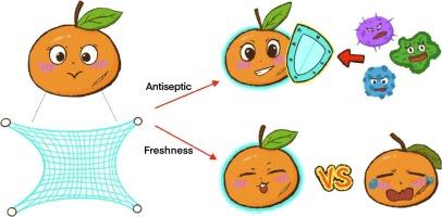 Pullulan-based coatings carrying biocontrol yeast mixed with NaCl to control citrus postharvest disease decays