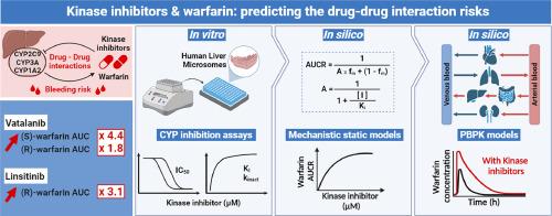 In vitro assessment of inhibitory effects of kinase inhibitors on CYP2C9, 3A and 1A2: Prediction of drug-drug interaction risk with warfarin and direct oral anticoagulants