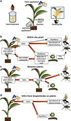 Expecting the unexpected: Plant-mediated and indirect effects of biopesticides on arthropod pests and their natural enemies