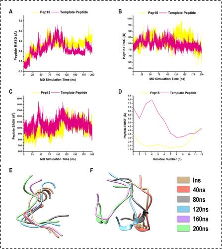 De Novo Rational Design of Peptide-Based Protein–Protein Inhibitors (Pep-PPIs) Approach by Mapping the Interaction Motifs of the PP Interface and Physicochemical Filtration: A Case on p25-Cdk5-Mediated Neurodegenerative Diseases