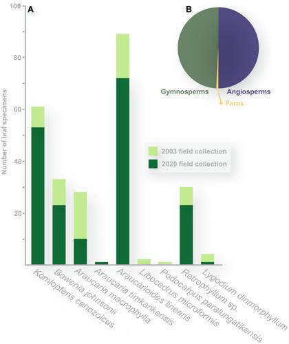 The non-flowering plants of a near-polar forest in East Gondwana, Tasmania, Australia, during the Early Eocene Climatic Optimum