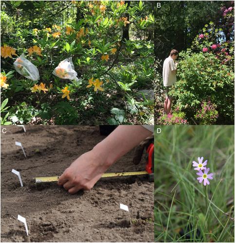 Living collections: Biodiversity cultivated at public gardens has the power to connect ecological questions and evolutionary context