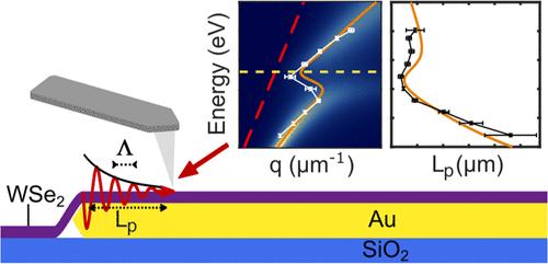 Full Quantitative Near-Field Characterization of Strongly Coupled Exciton–Plasmon Polaritons in Thin-Layered WSe2 on a Monocrystalline Gold Platelet