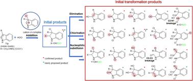 Identifying initial transformation products during chlorination of the indole moiety and unveiling their formation mechanisms†